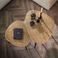 Fraaai Dylan salontafel set van 2