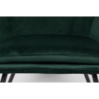 Puur Berg fauteuil velvet