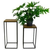 Kick Plantentafel Milo