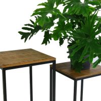 Plantentafel Milo Laag