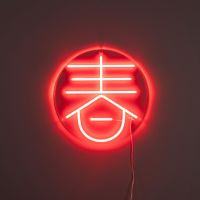 Dutchbone Sya neon wandlamp - lente