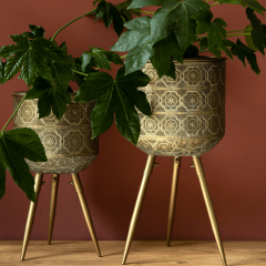 Plantenstandaard Botanique Groot