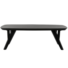 Quenza salontafel 120x65x40 cm mat zwart van het woonmerk Light&Living