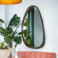 Organische spiegel Plecto