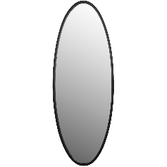 Spiegel Matz Ovaal L 