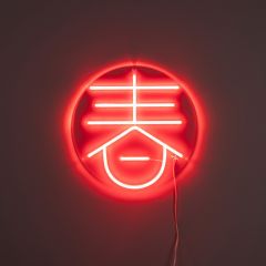 Sya neon wandlamp - lente