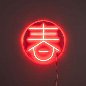 Sya neon wandlamp - lente