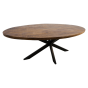 Melbourne ovale eettafel 200x100x76 mangohout naturel van het woonmerk HSM Collection