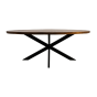 Melbourne ovale eettafel 220x110x76 mangohout naturel