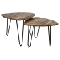 Dexter salontafels mangohout naturel | set van 2