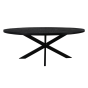 Melbourne ovale eettafel 160x90x76 mangohout zwart van het woonmerk HSM Collection