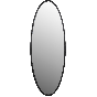 Spiegel Matz Ovaal L 