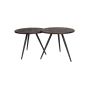Brianna salontafel set van 2